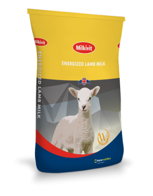 Milkivit Energized Lamb Milk W
