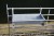 2ft Hook on Galvanized Sheep/Calf Trough