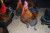 Copper Blue Marans