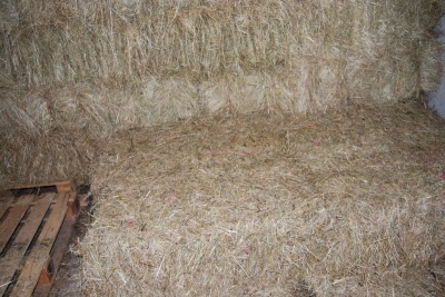 Meadow Hay  Bales