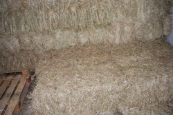 Meadow Hay  Bales